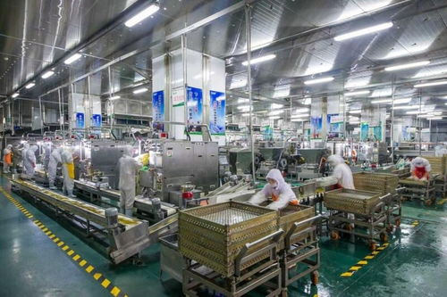 科技賦能 全鏈條管控 金鑼集團(tuán)打造肉制品安全新標(biāo)桿